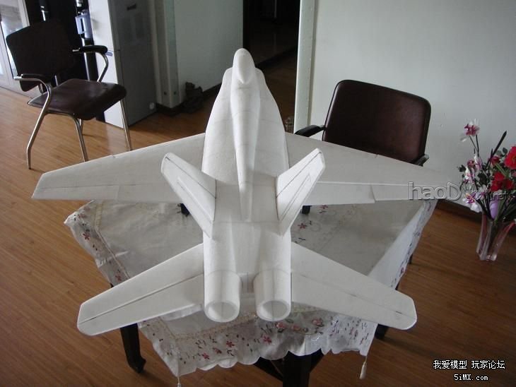 DSC03359.JPG 为模友定做的超大F18战斗机