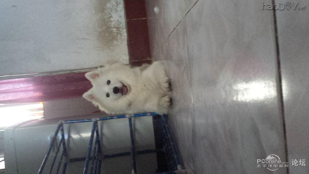 点击查看原图 手工打造DIY个性机箱散热神马的都弱爆了