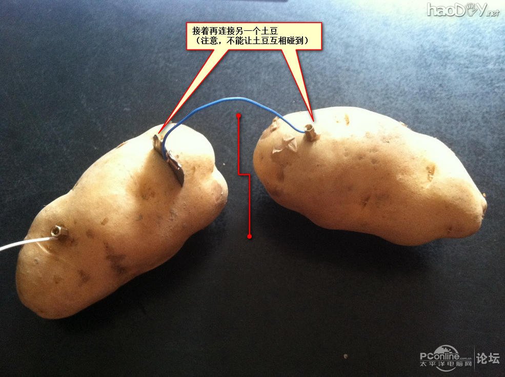 点击查看原图 生物发电应用之——土豆发电也疯狂