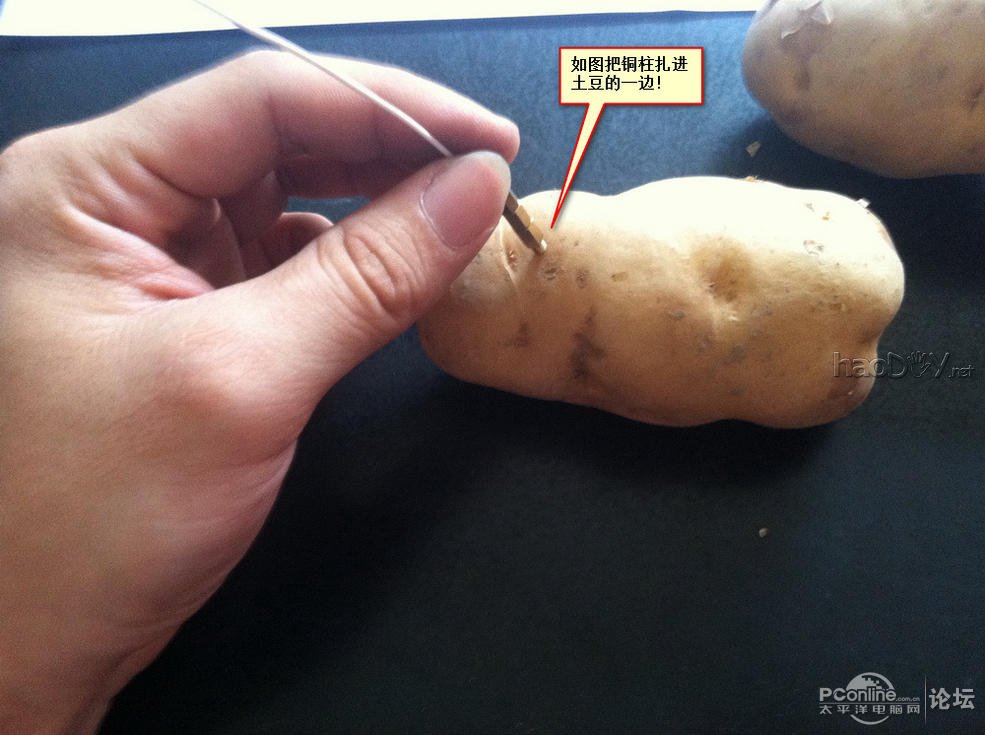 点击查看原图 生物发电应用之——土豆发电也疯狂