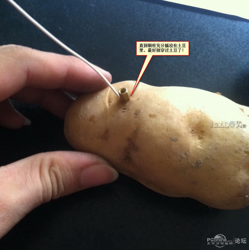 点击查看原图 生物发电应用之——土豆发电也疯狂