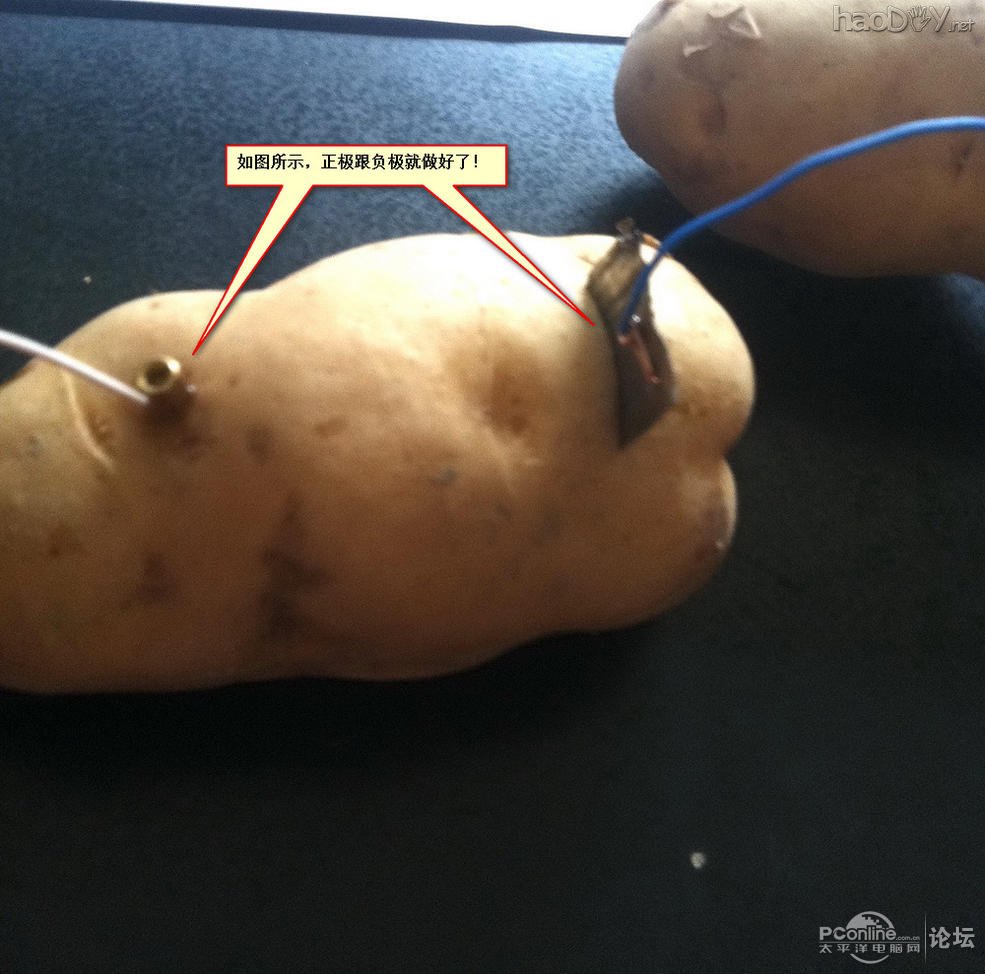 点击查看原图 生物发电应用之——土豆发电也疯狂