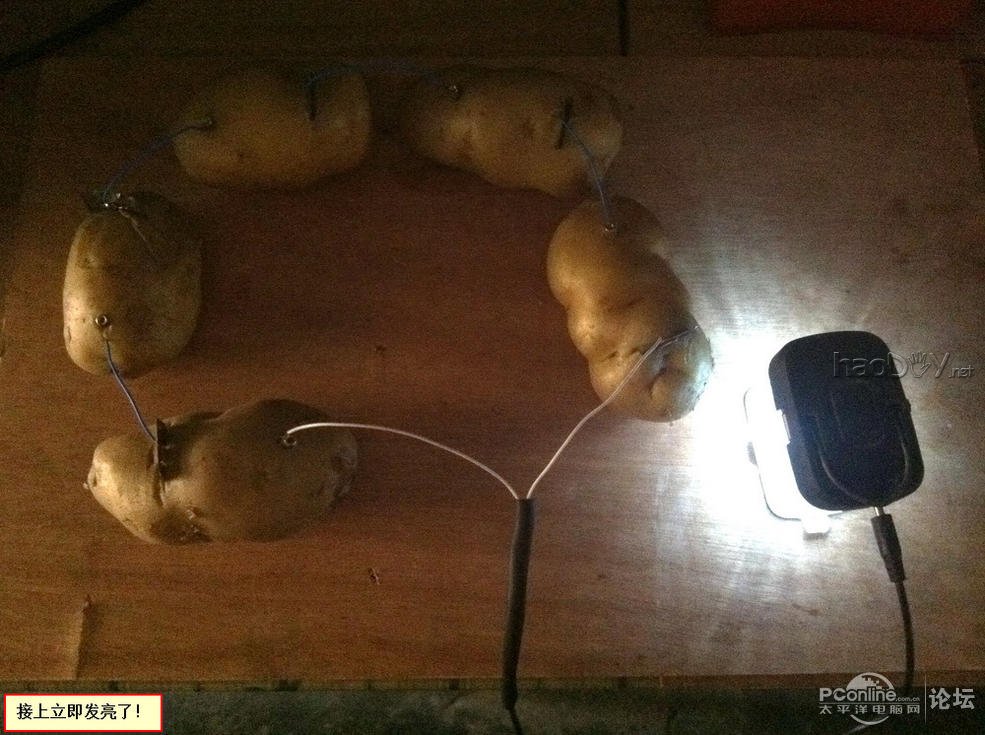 点击查看原图 生物发电应用之——土豆发电也疯狂
