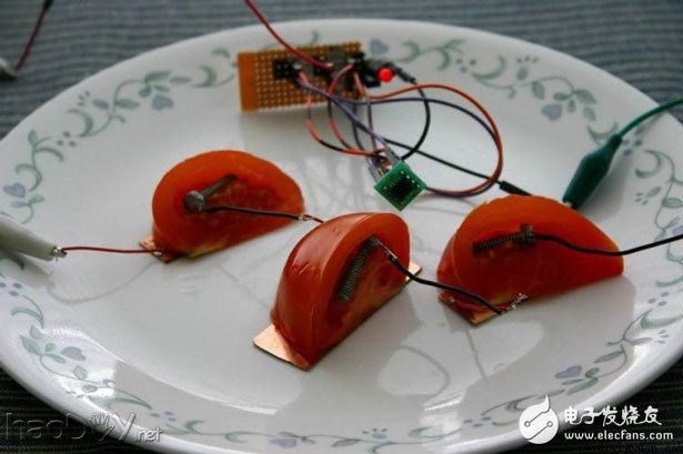小小的水果发电竟能驱动AVR单片机