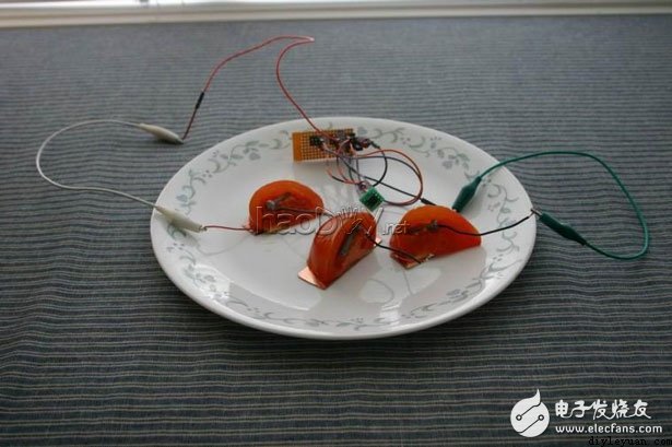 小小的水果发电竟能驱动AVR单片机
