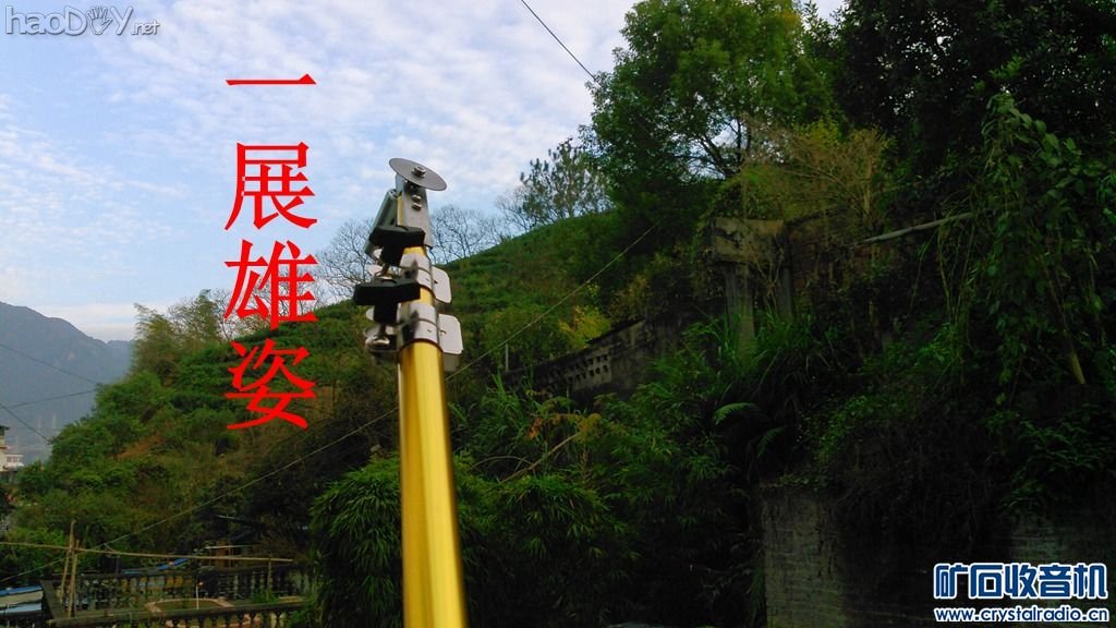 【参赛】高空摘果器