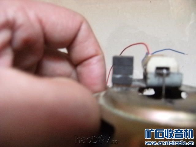 【参赛】舌簧喇叭及另类喇叭专辑