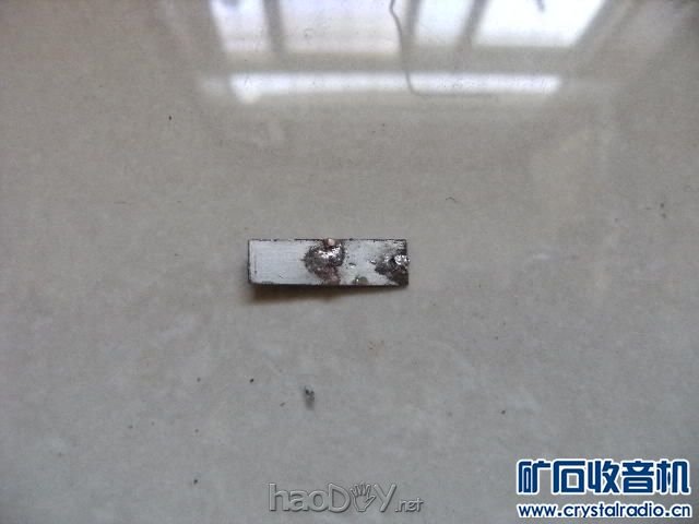 【参赛】舌簧喇叭及另类喇叭专辑