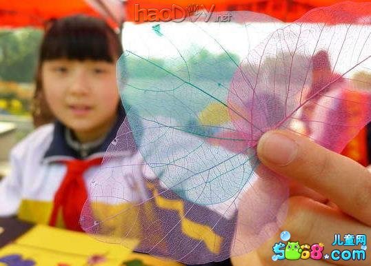 叶脉书签制作过程图解大全-精美小书签