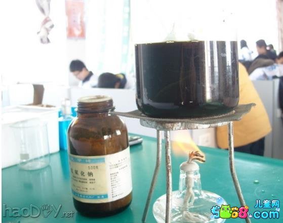 叶脉书签制作过程图解大全-精美小书签