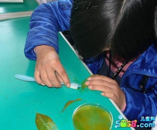 叶脉书签制作过程图解大全-精美小书签