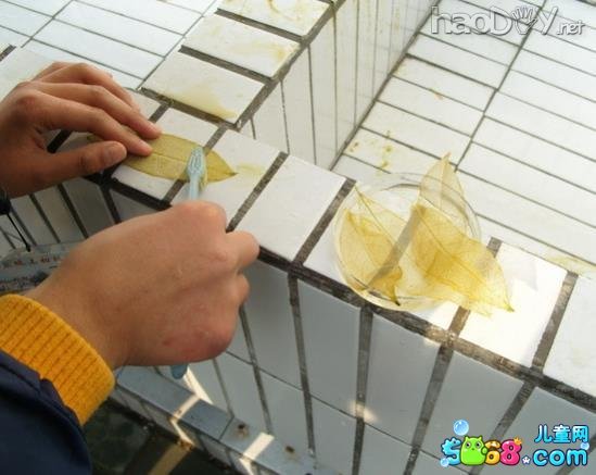 叶脉书签制作过程图解大全-精美小书签