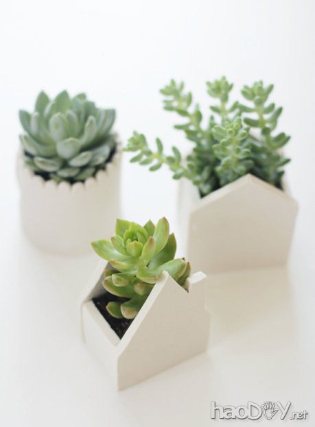 科技小制作-创意环保花盆的制作过程