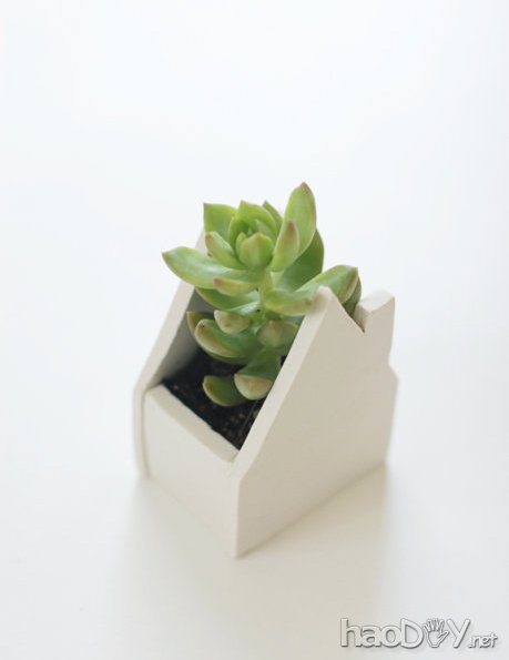 科技小制作-创意环保花盆的制作过程