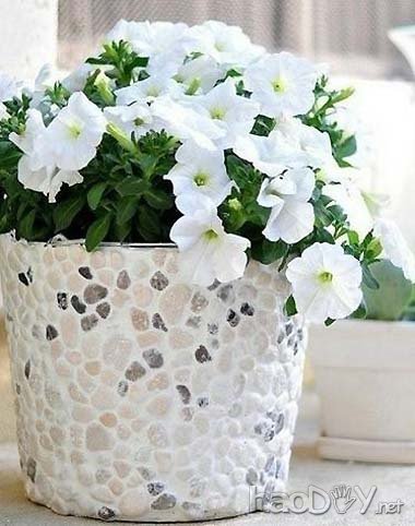 科技小制作-制作北欧风田园花盆