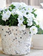 科技小制作-制作北欧风田园花盆