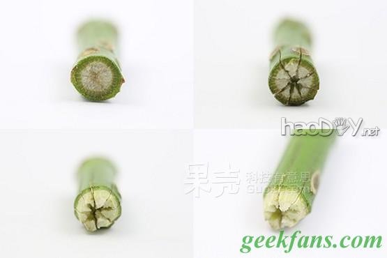 科技小制作-教你制作彩色玫瑰