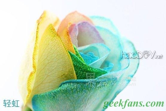 科技小制作-教你制作彩色玫瑰