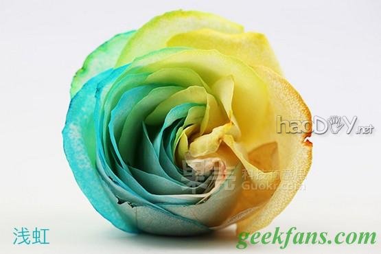 科技小制作-教你制作彩色玫瑰