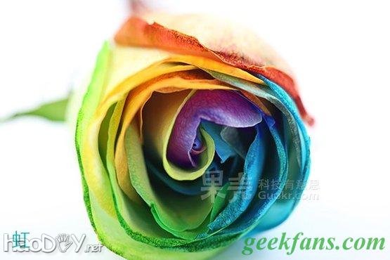 科技小制作-教你制作彩色玫瑰