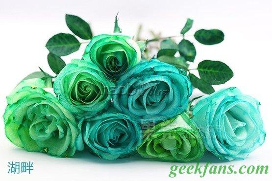 科技小制作-教你制作彩色玫瑰