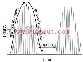 科技小制作-呼吸灯的制作步骤