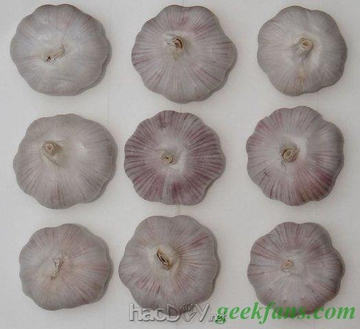 科技小制作-自制大蒜生物电池