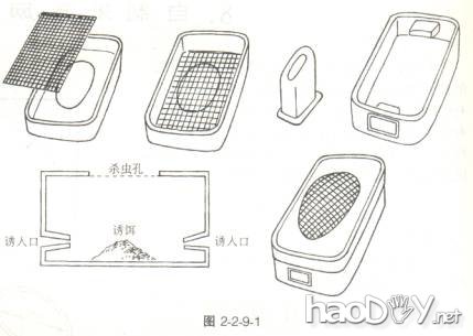 科技小制作-自制蟑螂诱捕器