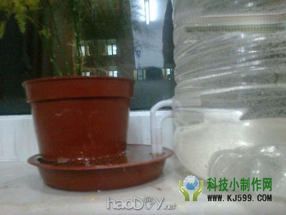 科技小制作-DIY制作自动浇水装置托管你的植物