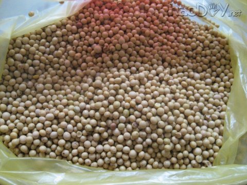 科技小制作-手工制作治疗颈椎病的黄豆枕头