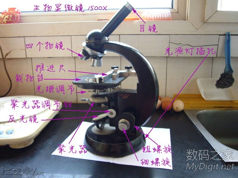 探索微观世界~为显微镜添加数码显微照相功能~改装全过程 探索微观世界~为显微镜添加数码显微照相功能~改装全过程