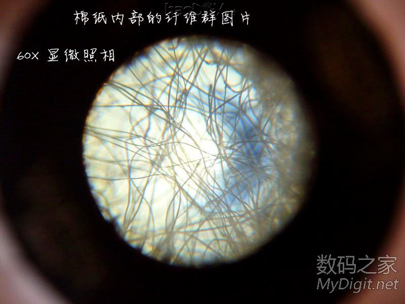 探索微观世界~为显微镜添加数码显微照相功能~改装全过程