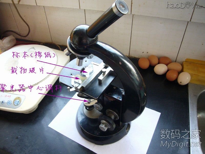 探索微观世界~为显微镜添加数码显微照相功能~改装全过程 探索微观世界~为显微镜添加数码显微照相功能~改装全过程