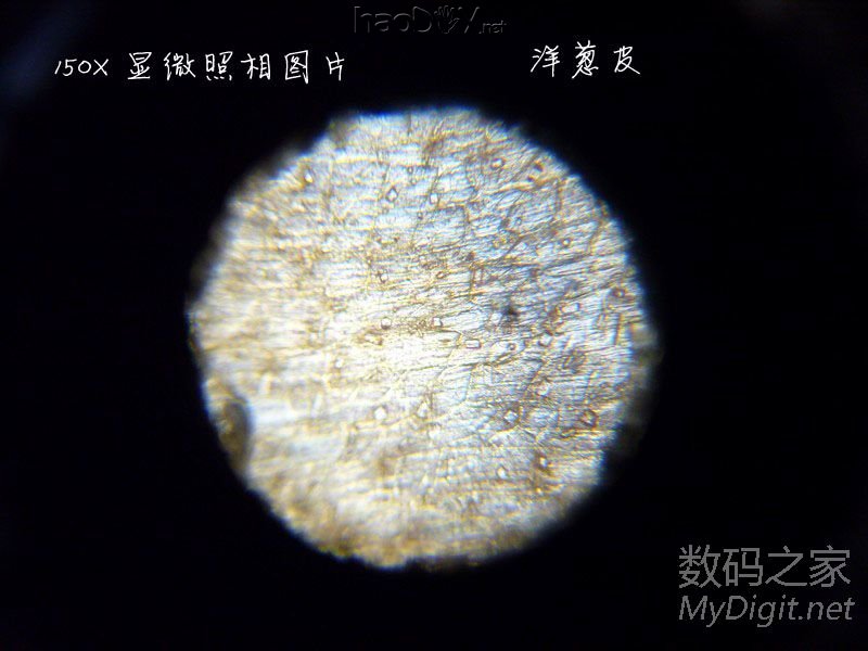 探索微观世界~为显微镜添加数码显微照相功能~改装全过程