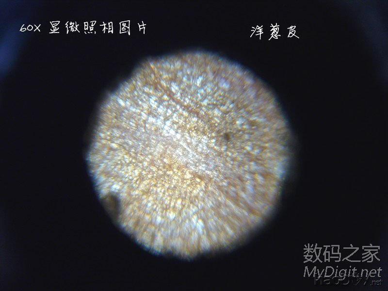 探索微观世界~为显微镜添加数码显微照相功能~改装全过程
