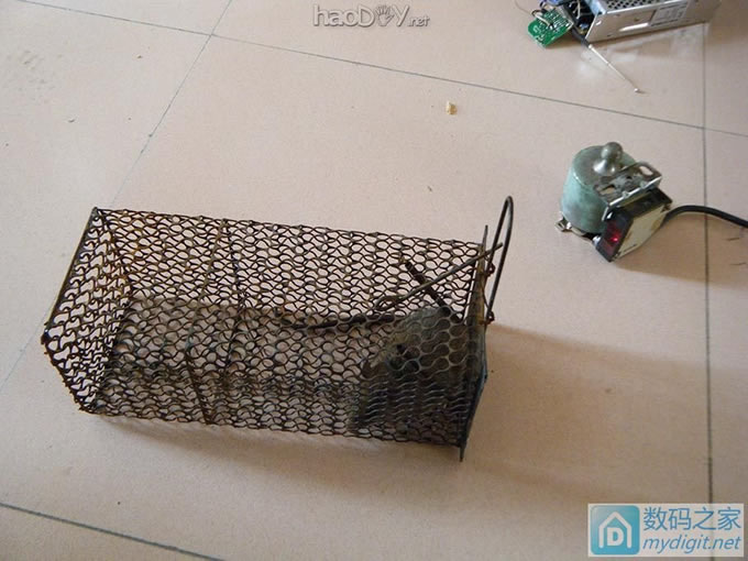 老鼠偷吃腊肠,简单做个间接捕鼠装置 老鼠偷吃腊肠,简单做个间接捕鼠装置