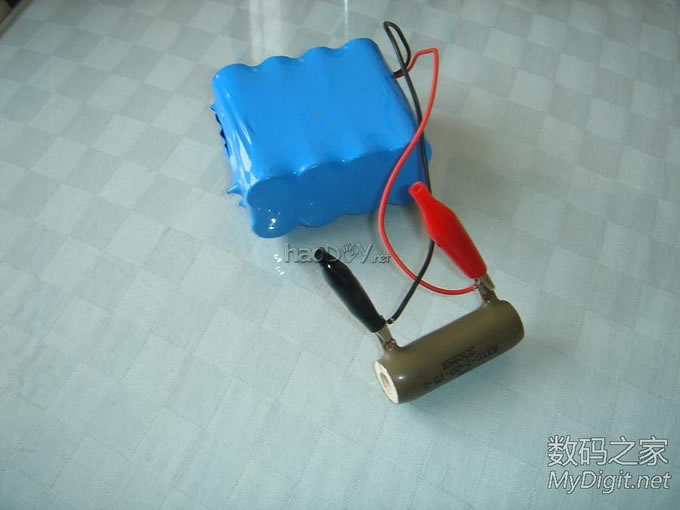 土暖气~母蝈蝈的幸福生活 土暖气~母蝈蝈的特别待遇