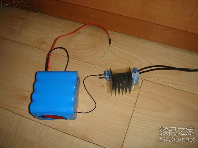 土暖气~母蝈蝈的幸福生活 土暖气~母蝈蝈的特别待遇