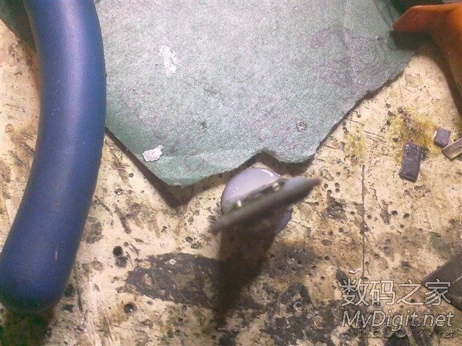 ʷţỤ˭벻ǿŸƷƷ