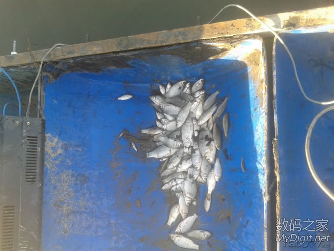 DIYһʵõСԲ˶ʱ롣