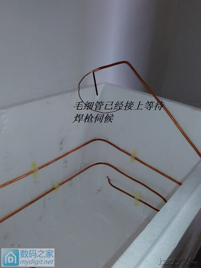 夏天到了、自己租房子没有冰箱怎么办、各位来看看我怎么办