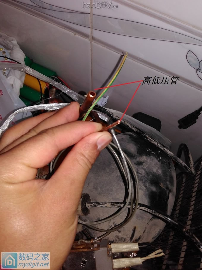 夏天到了、自己租房子没有冰箱怎么办、各位来看看我怎么办