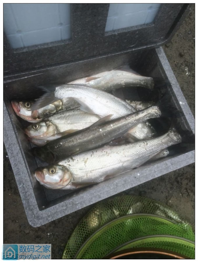 夜钓利器,松下12V50Ah电池组带外壳制作全过程 夜钓利器,松下12V50Ah电池组带外壳制作全过程