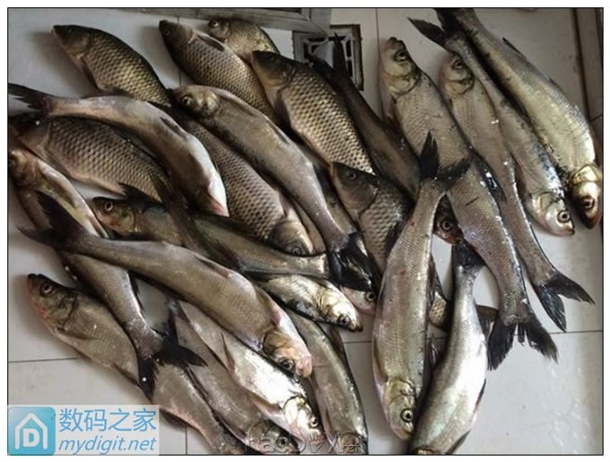 夜钓利器,松下12V50Ah电池组带外壳制作全过程 夜钓利器,松下12V50Ah电池组带外壳制作全过程