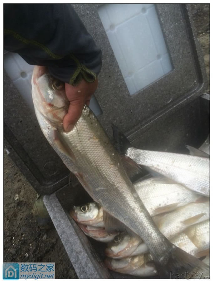 夜钓利器,松下12V50Ah电池组带外壳制作全过程 夜钓利器,松下12V50Ah电池组带外壳制作全过程