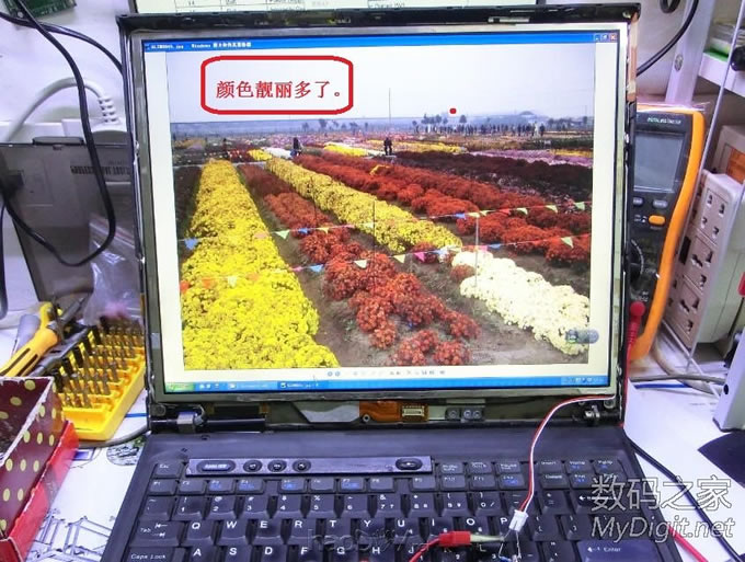 ĥ~IBM T42USBӿں͸LED⣨LED