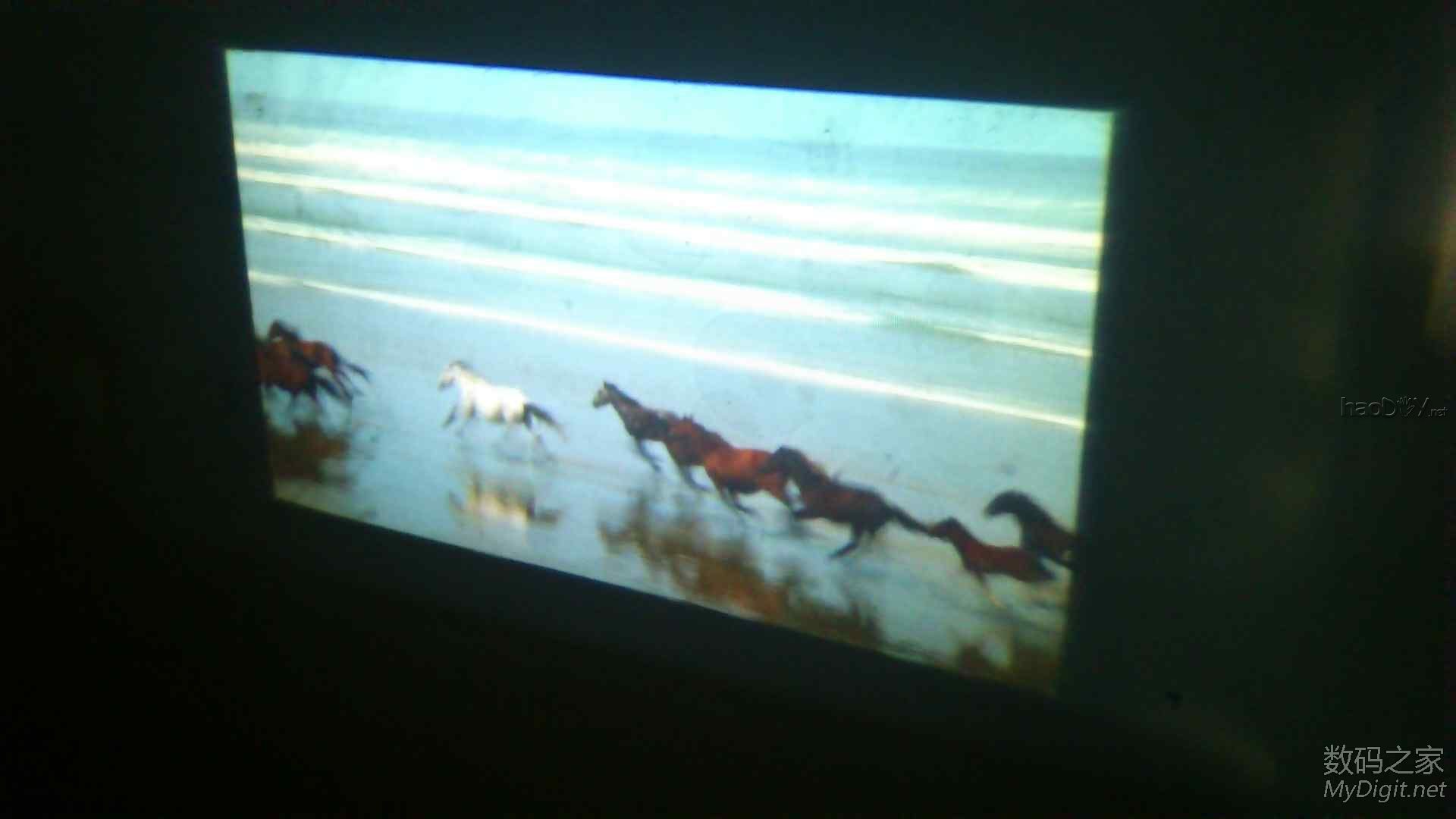 ¿üһѧȫͶӰǰ˫ƾͷ