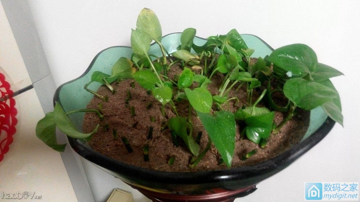 【斜口钳】这次用废品做一个,媳妇看后都说总算见你做出实用的东西了! 【斜口钳】这次用废品做一个,媳妇看后都说总算见你做出实用的东