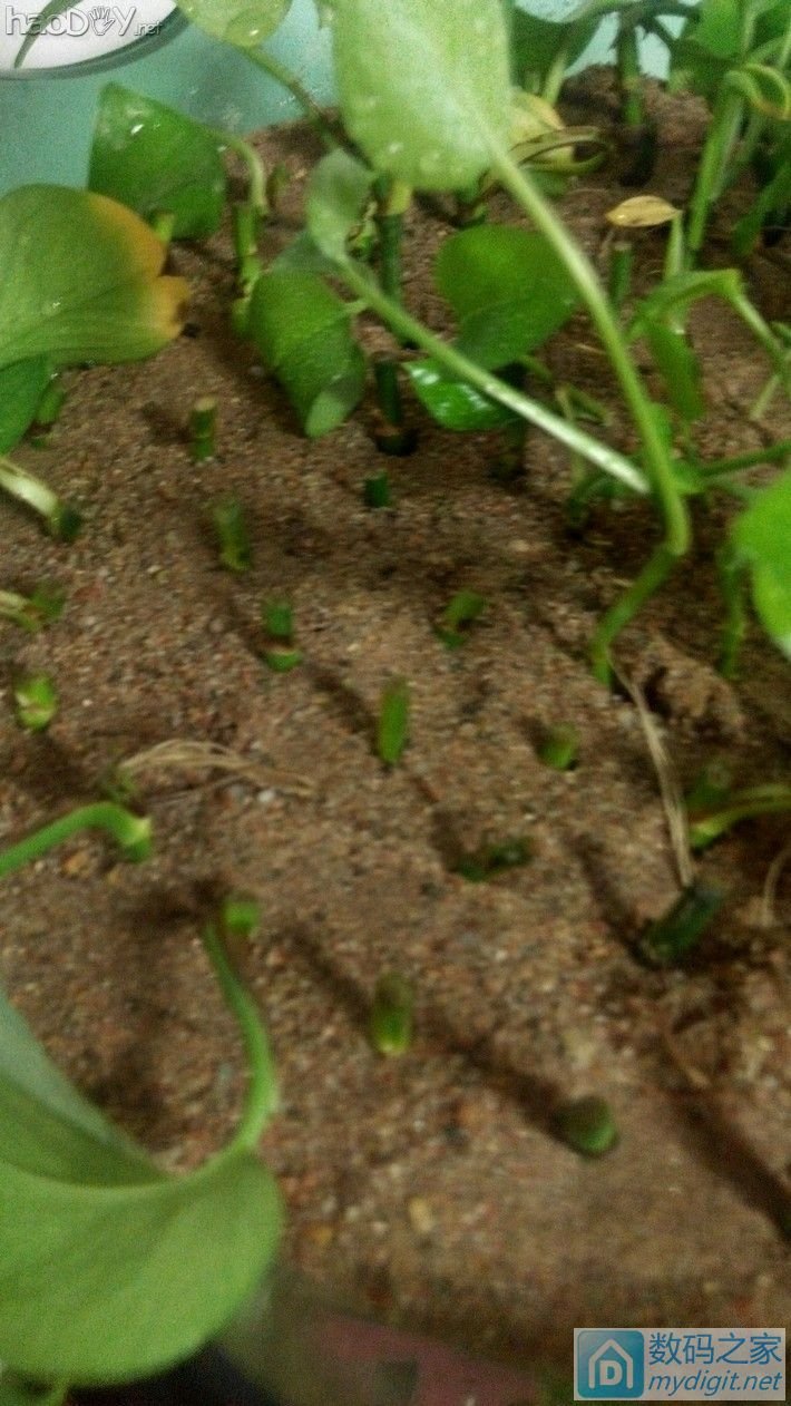 【斜口钳】这次用废品做一个,媳妇看后都说总算见你做出实用的东西了! 【斜口钳】这次用废品做一个,媳妇看后都说总算见你做出实用的东