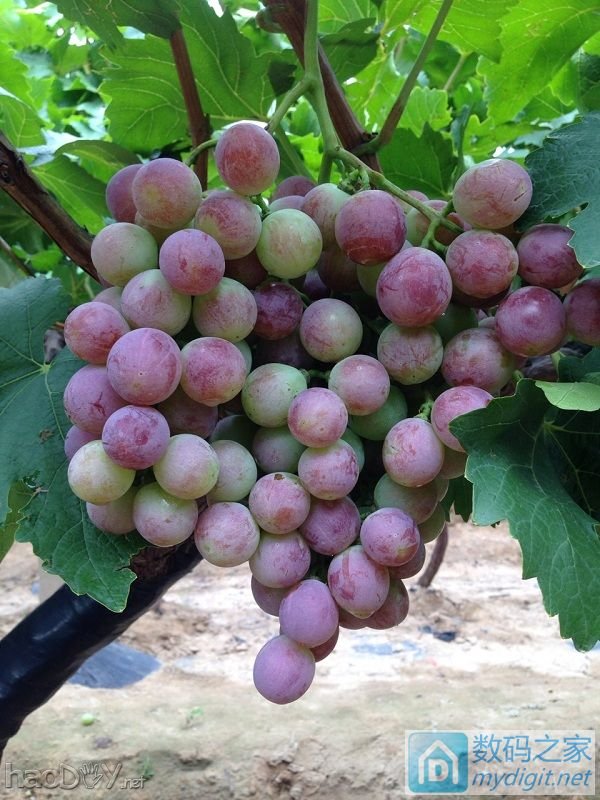 ¥¥¥֮ǰ̳Ѹ180׳ݵ㺸ⲻ